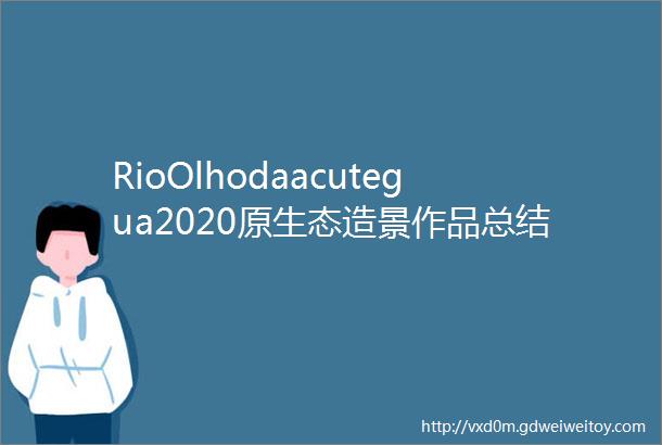 RioOlhodaacutegua2020原生态造景作品总结