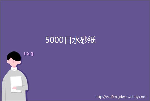 5000目水砂纸